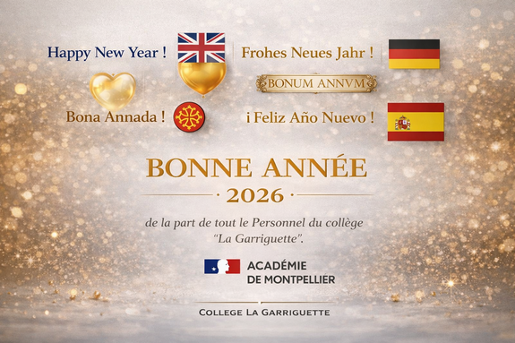 Bonne année 2026.png